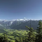 164 *