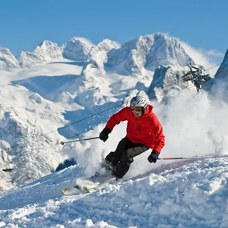 Domek alpejski 164 *