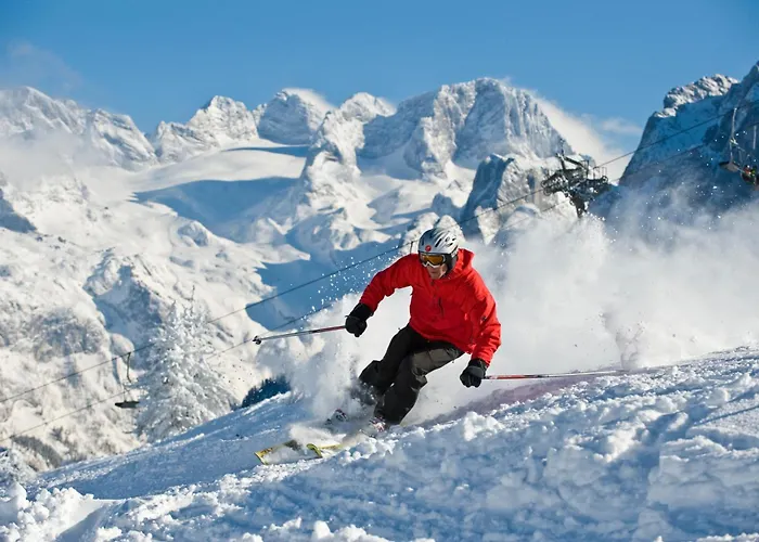 Domek alpejski 164 *